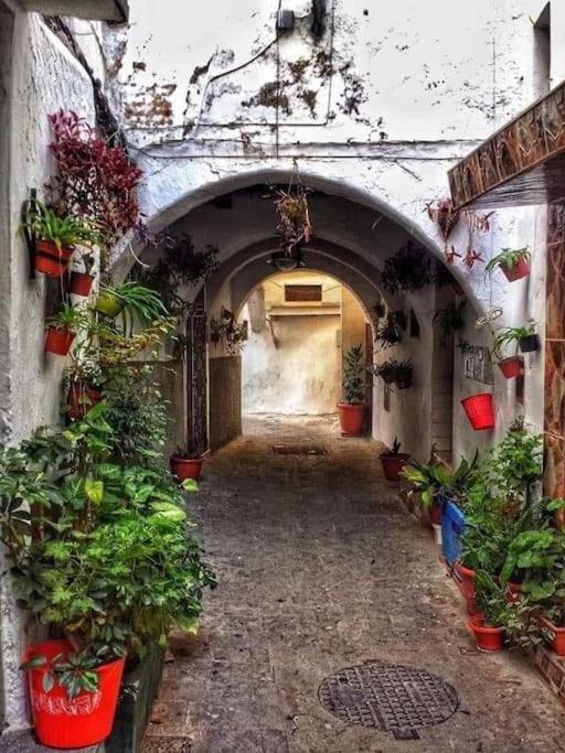Belle Duplex With Terrace And Rooftop In The Heart Of Medina Tétouan 外观 照片